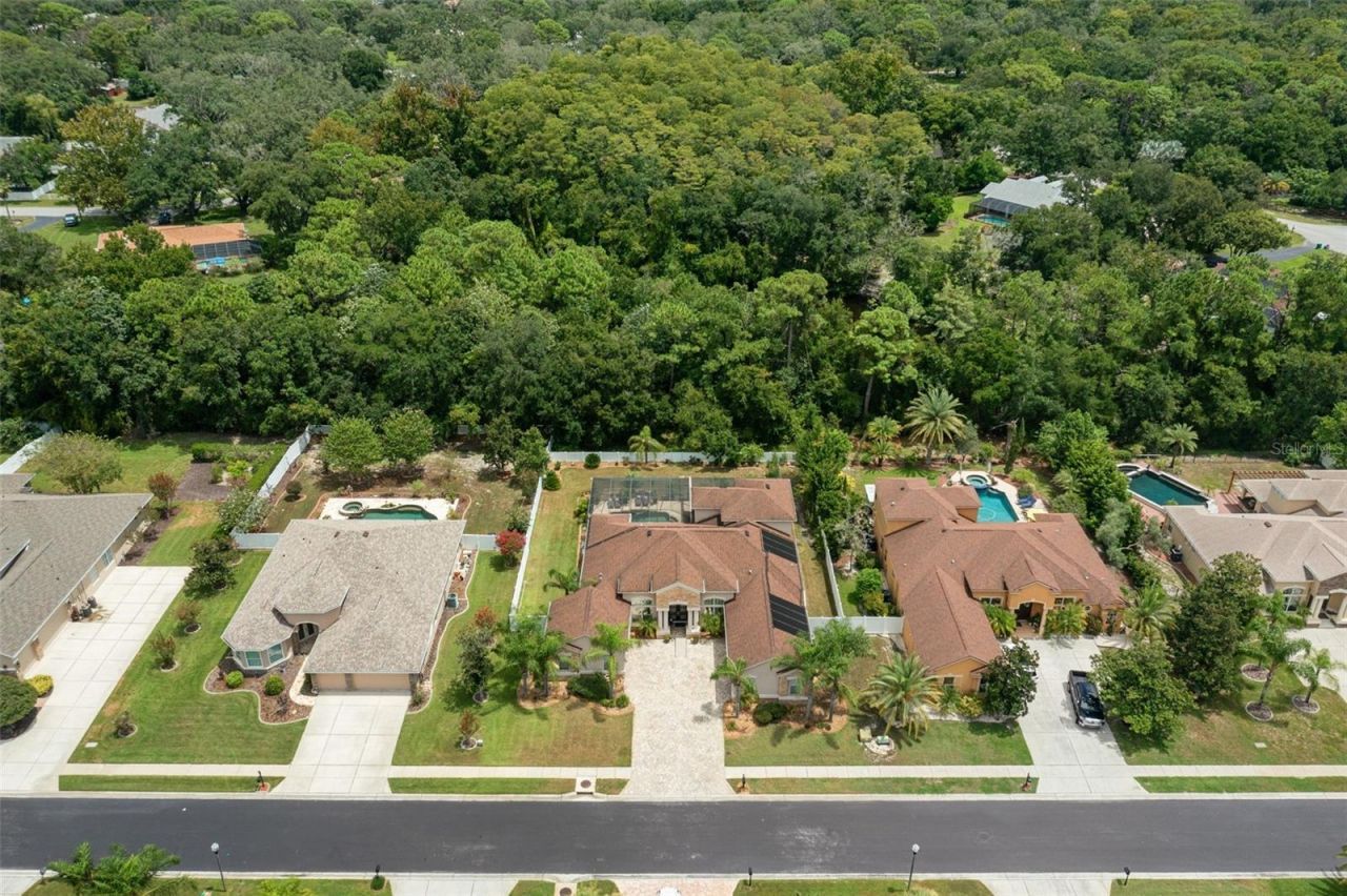 1726 Nodding Thistle Drive, New Port Richey, FL 34655 Photo