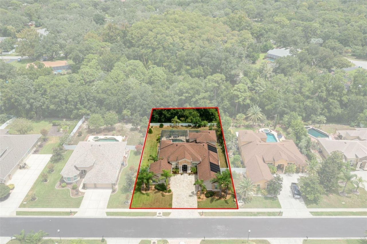 1726 Nodding Thistle Drive, New Port Richey, FL 34655 Photo
