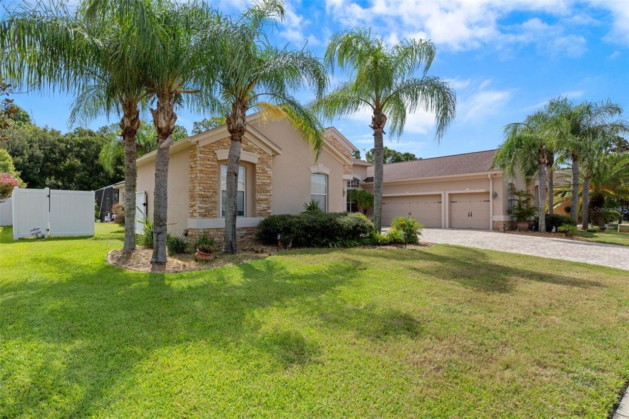 1726 Nodding Thistle Drive, New Port Richey, FL 34655 Photo