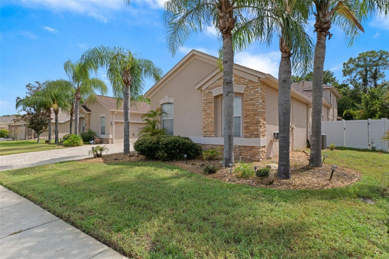 1726 Nodding Thistle Drive, New Port Richey, FL 34655 Photo