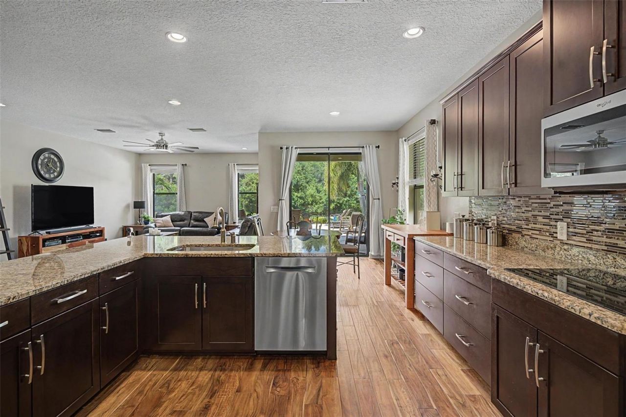 1231 Ketzal Drive , Trinity, FL 34655 Photo