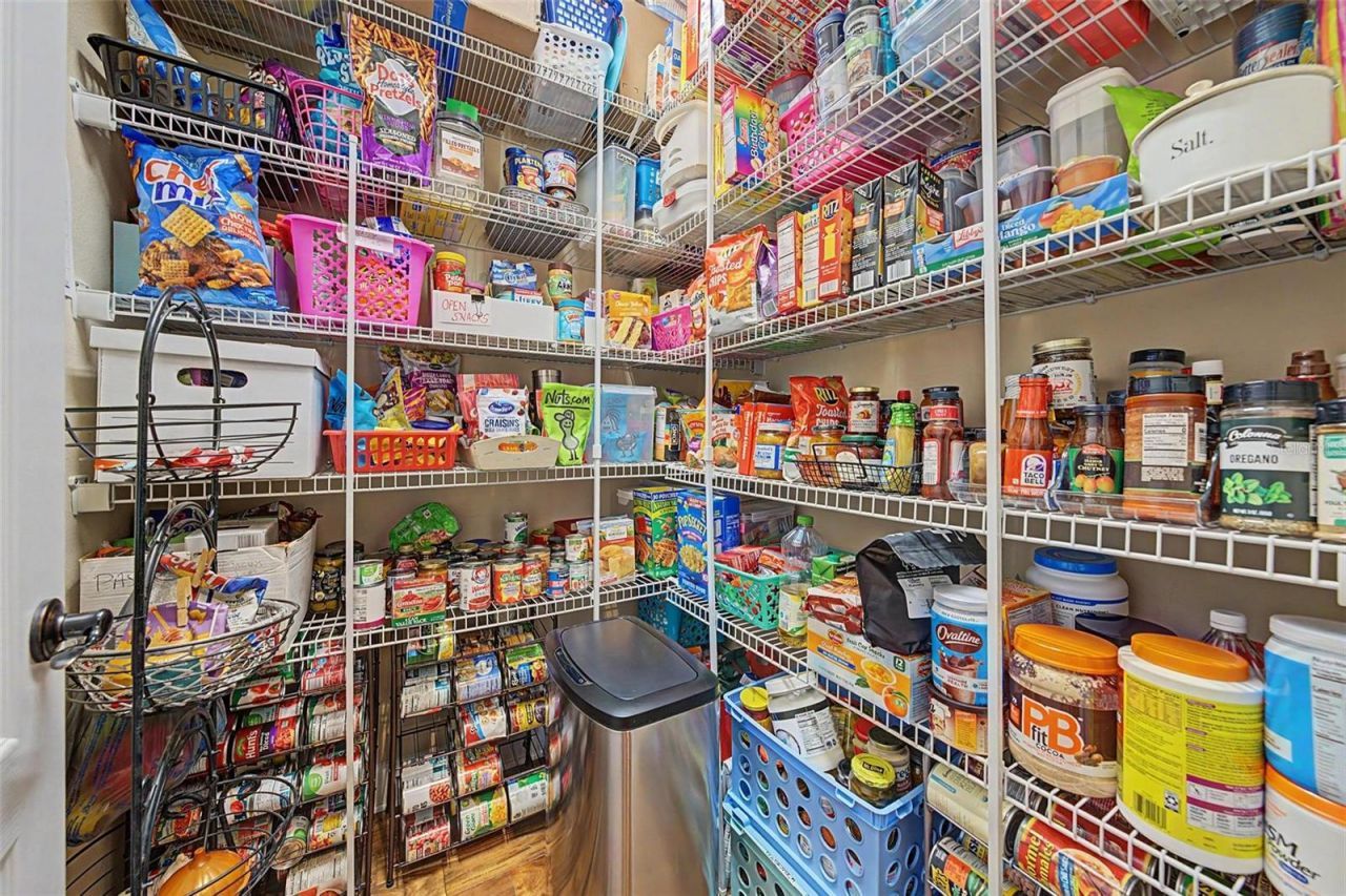 1231 Ketzal Drive , Trinity, FL 34655 Photo