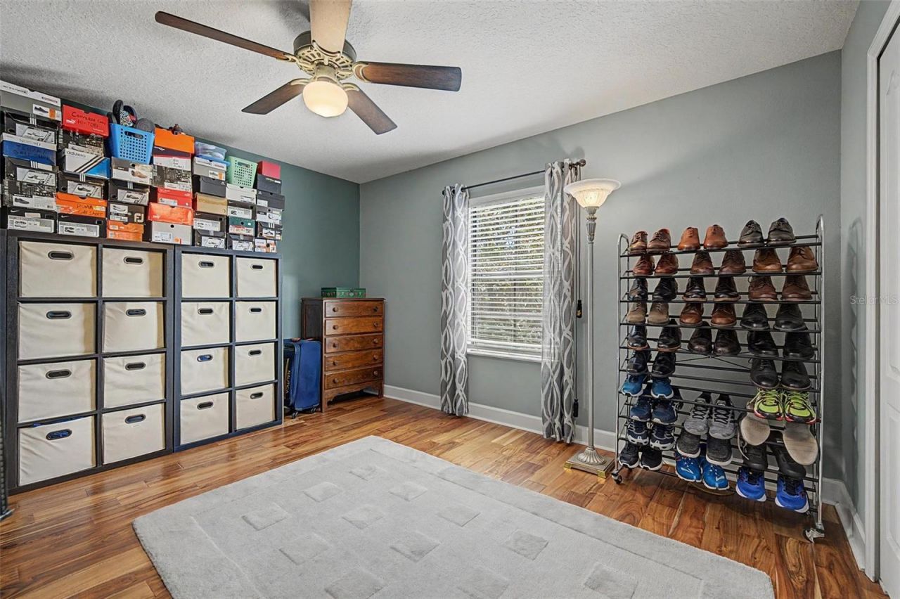 1231 Ketzal Drive , Trinity, FL 34655 Photo