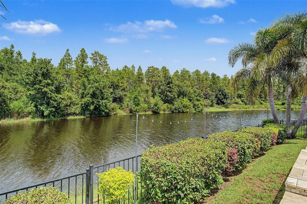 1231 Ketzal Drive , Trinity, FL 34655 Photo