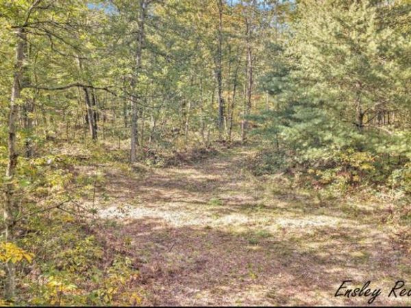 10138 Woodland Lane, Newaygo, MI 49337