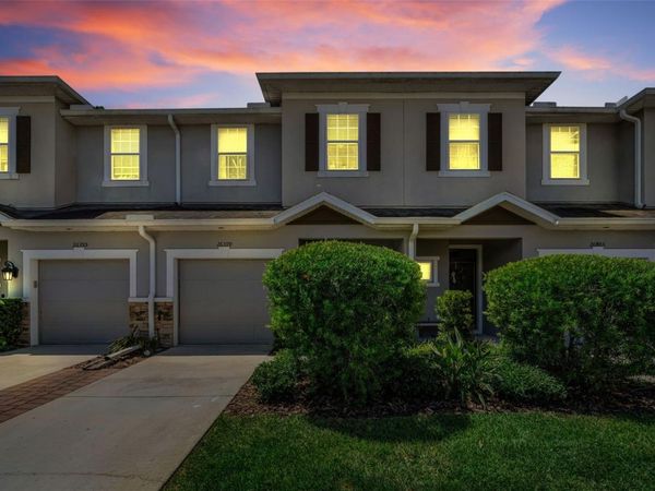 26399 LIMESTONE SPRINGS WAY , WESLEY CHAPEL, FL 33544