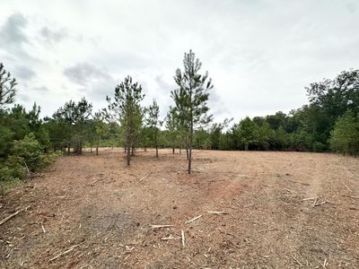 Cordova, SC 29039
