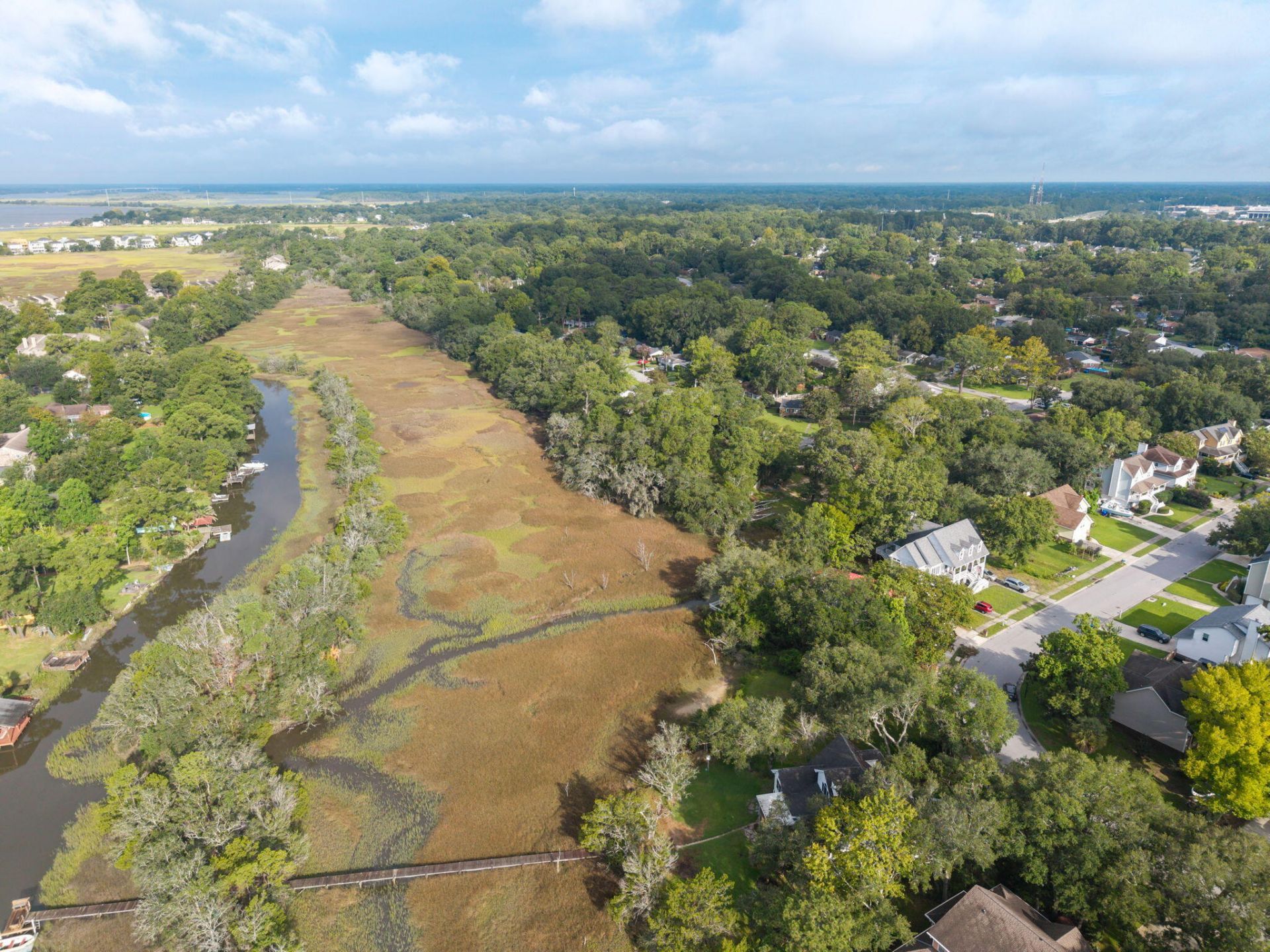 217 Marsh Oaks Drive Photo 12
