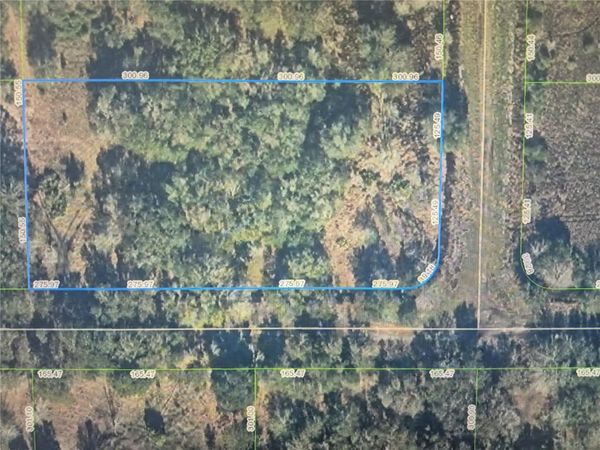 3300 W TANNEN ROAD , AVON PARK, FL 33825