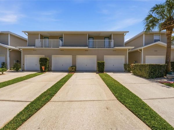 22128 LITTLE LAGOON COURT , LUTZ, FL 33549