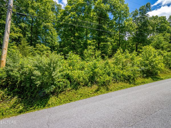 Saddleridge , Speedwell, TN 37870