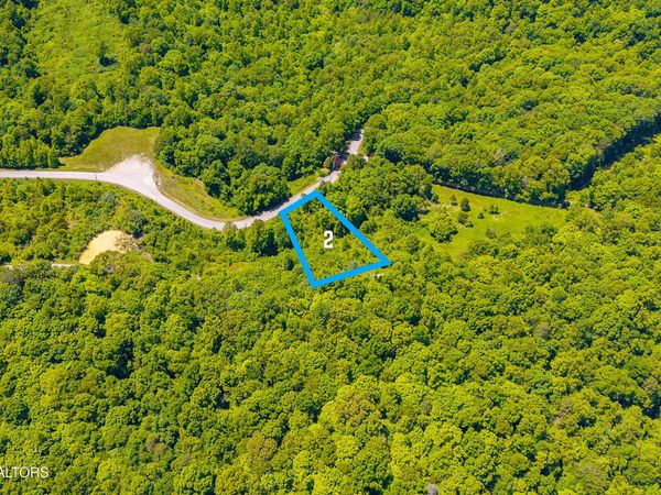 lot 2 Saddleridge, Speedwell, TN 37870