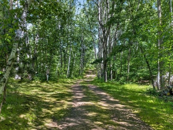 TBD River Road, Trego, WI 54888