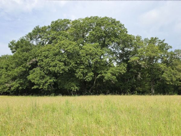 0 Alvaton Rd, Gay, GA 30218