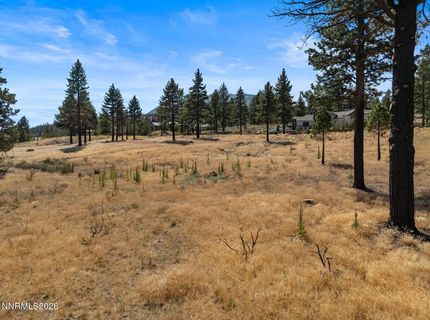 455 Mount Mahogany Court, Reno, NV 89511 Photo