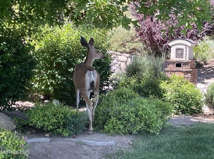 455 Mount Mahogany Court, Reno, NV 89511 Photo