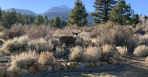 455 Mount Mahogany Court, Reno, NV 89511 Photo