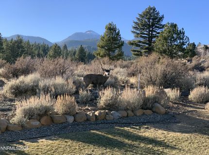 455 Mount Mahogany Court, Reno, NV 89511 Photo