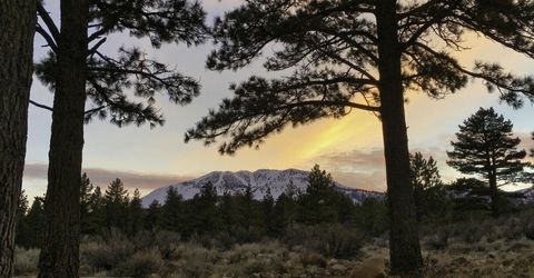 455 Mount Mahogany Court, Reno, NV 89511 Photo