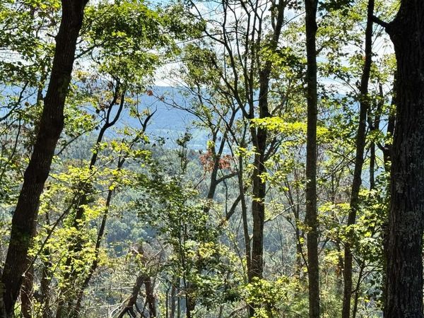 0 Soaring Eagle, Crossville, TN 38572