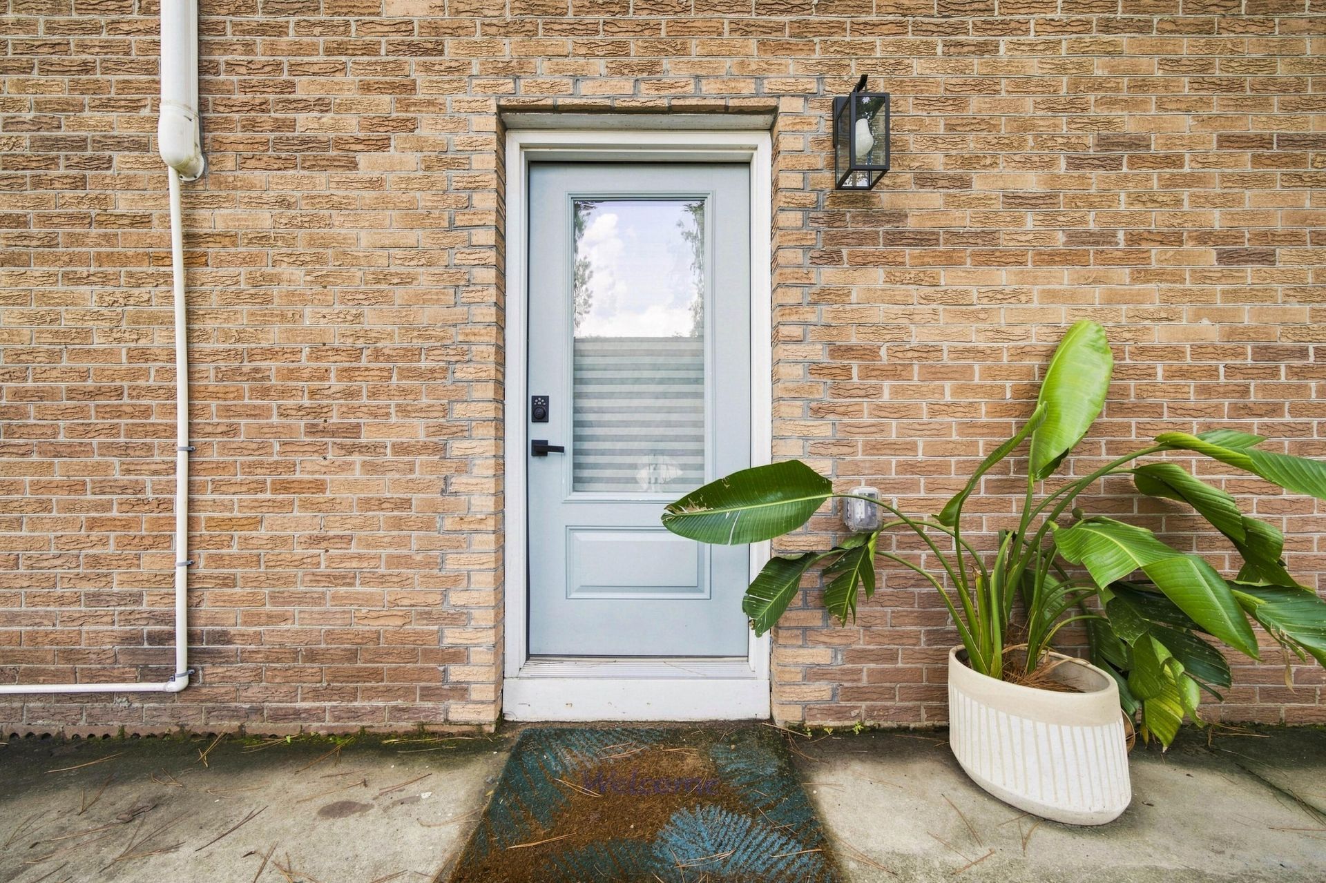1373 White Drive Photo 27