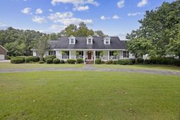 1240 Rhame Street photo 4