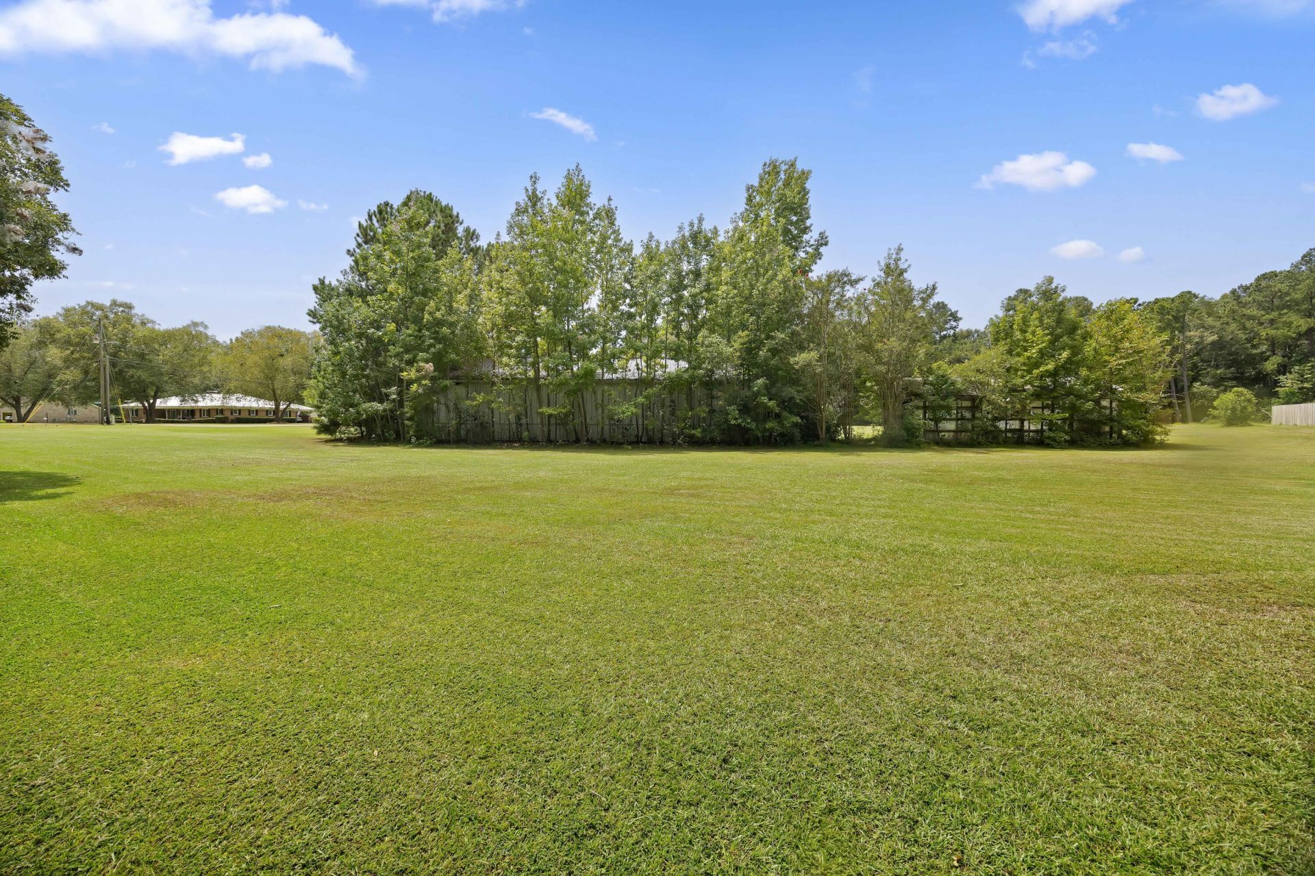 1240 Rhame Street Photo 45