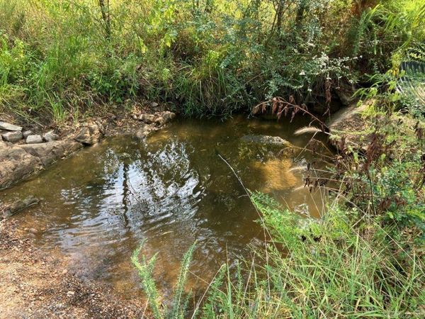 TBD Tract 1 Thompson Creek Lane Lane, Mena, AR 71953