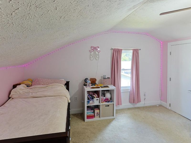 30 Hollister Street, Monroeville, OH 44847 Photo 42