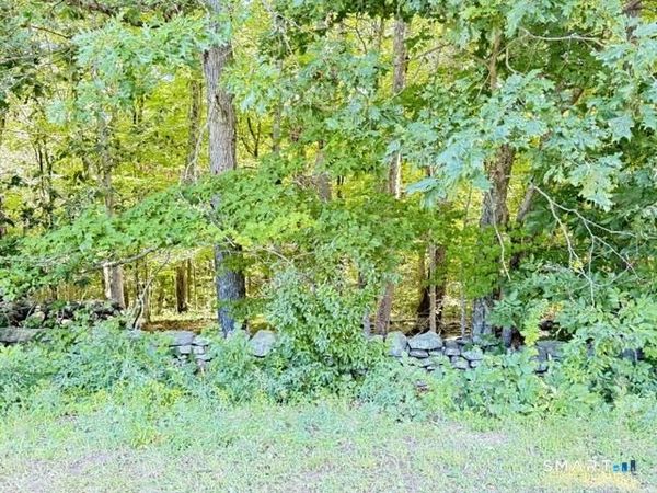 Beaver Dam , Killingworth, CT 06419
