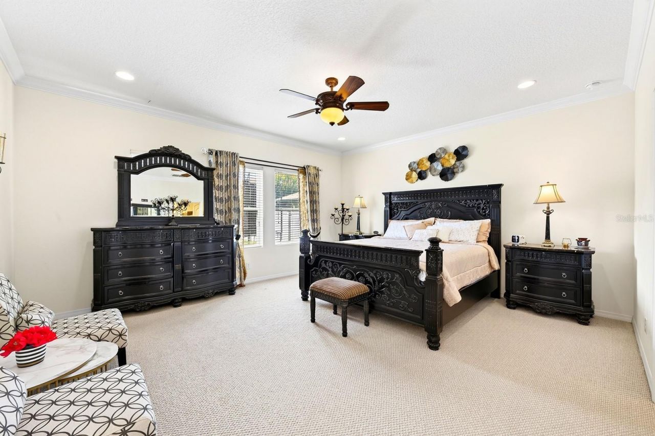 12834 Boggy View Drive, Orlando, FL 32824 Photo