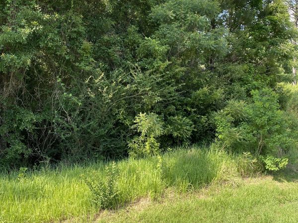 51 Steelwood Ridge Road, Loxley, AL 36551