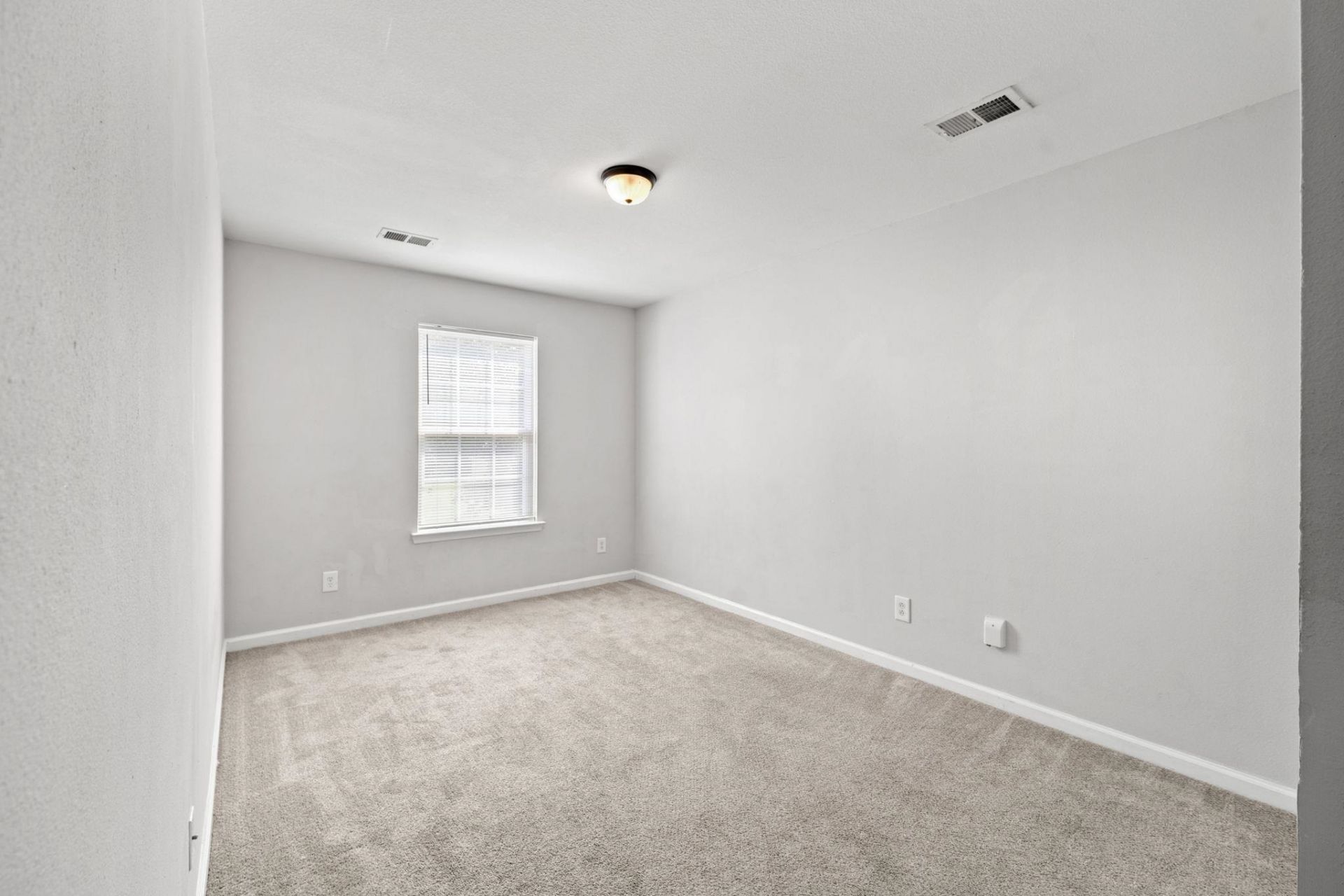 530 Ambrosia Loop  Photo 18