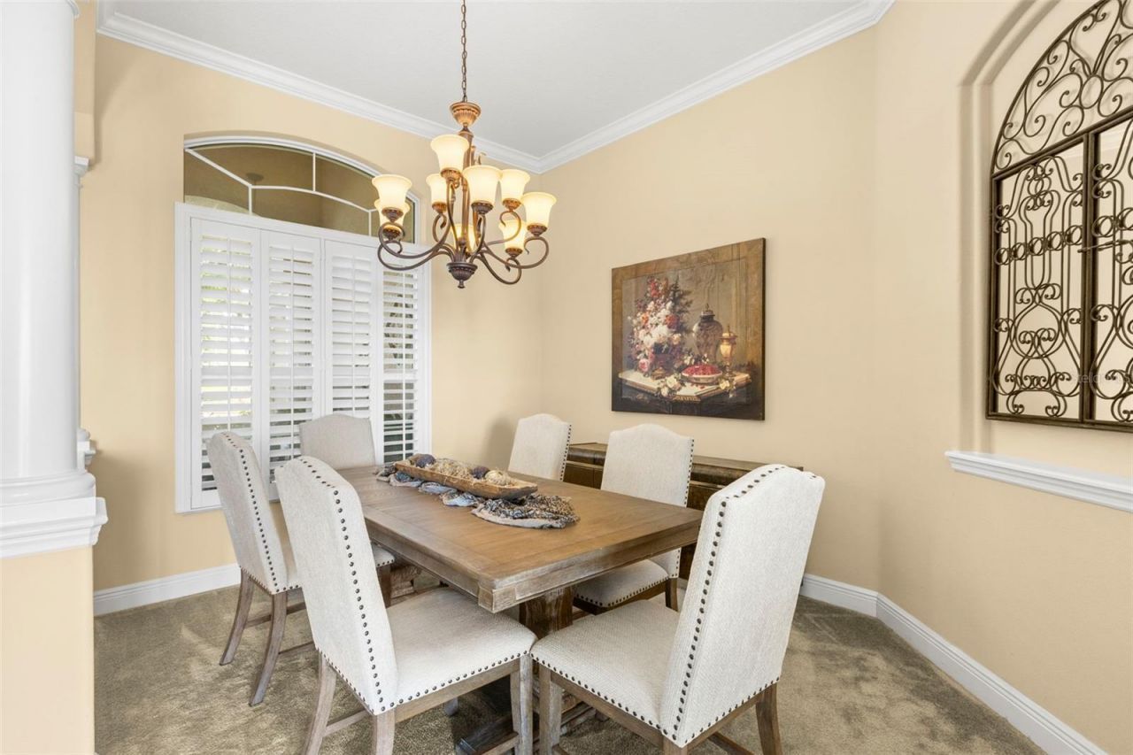 950 14th Avenue S, Safety Harbor, FL 34695 Photo