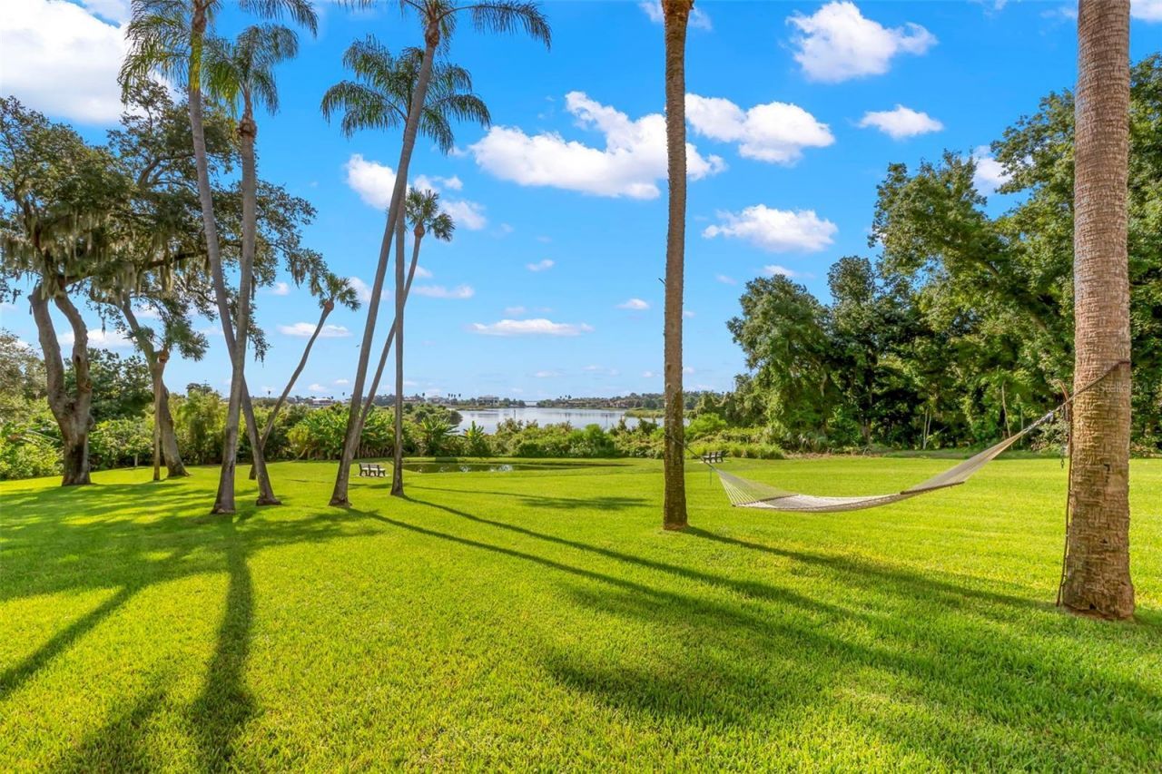 950 14th Avenue S, Safety Harbor, FL 34695 Photo