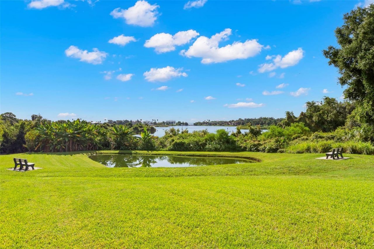 950 14th Avenue S, Safety Harbor, FL 34695 Photo