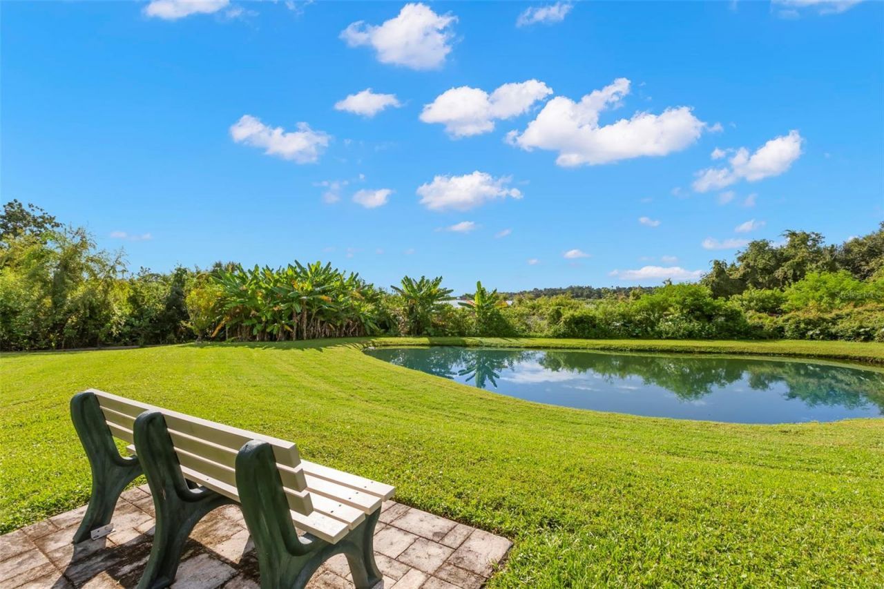 950 14th Avenue S, Safety Harbor, FL 34695 Photo