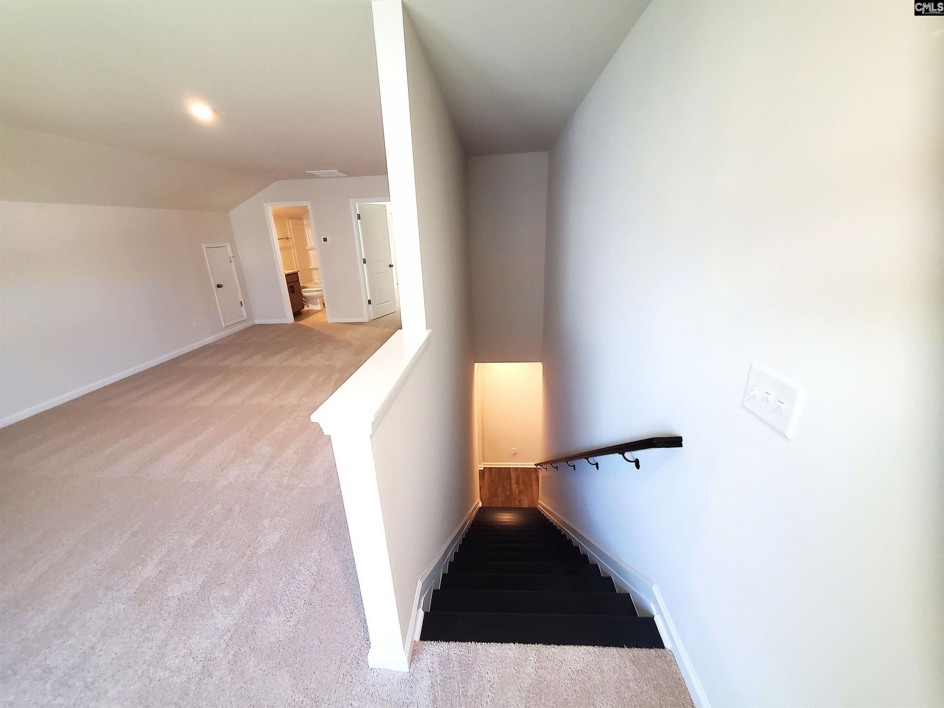351 Chapin Place Way  Photo 21