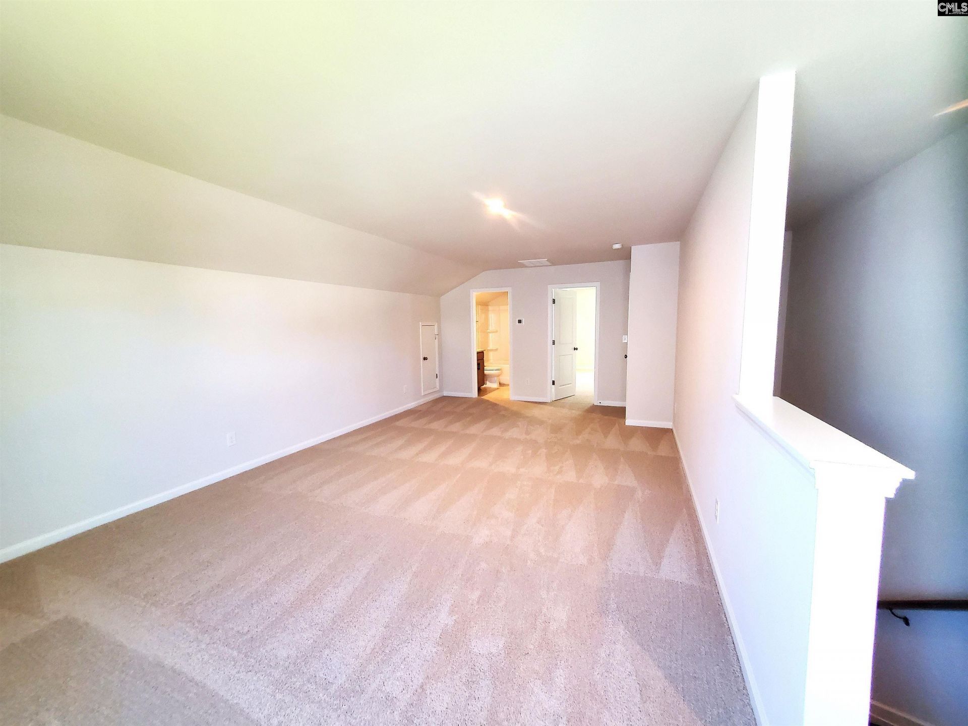 351 Chapin Place Way  Photo 22