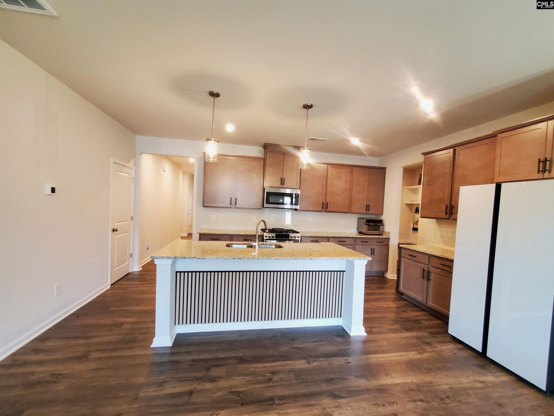 351 Chapin Place Way  Photo 8