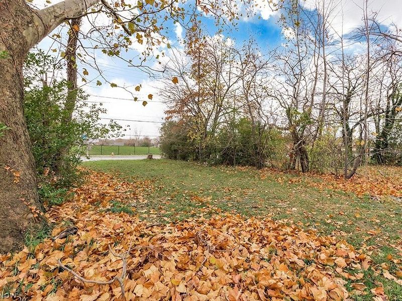 933 E 140th Street, Cleveland, OH 44110 Photo 2