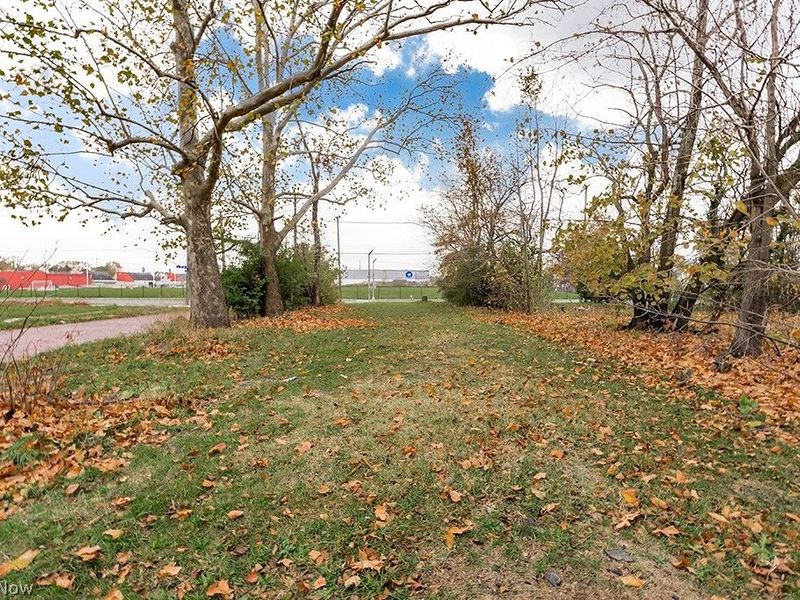 933 E 140th Street, Cleveland, OH 44110 Photo 3