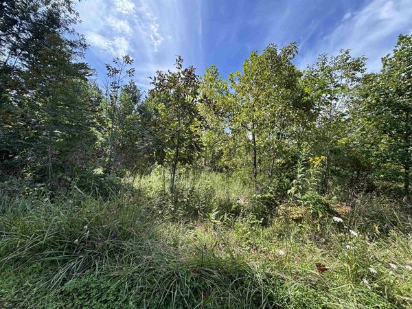 165 Merdian Road, Philippi, WV 26416