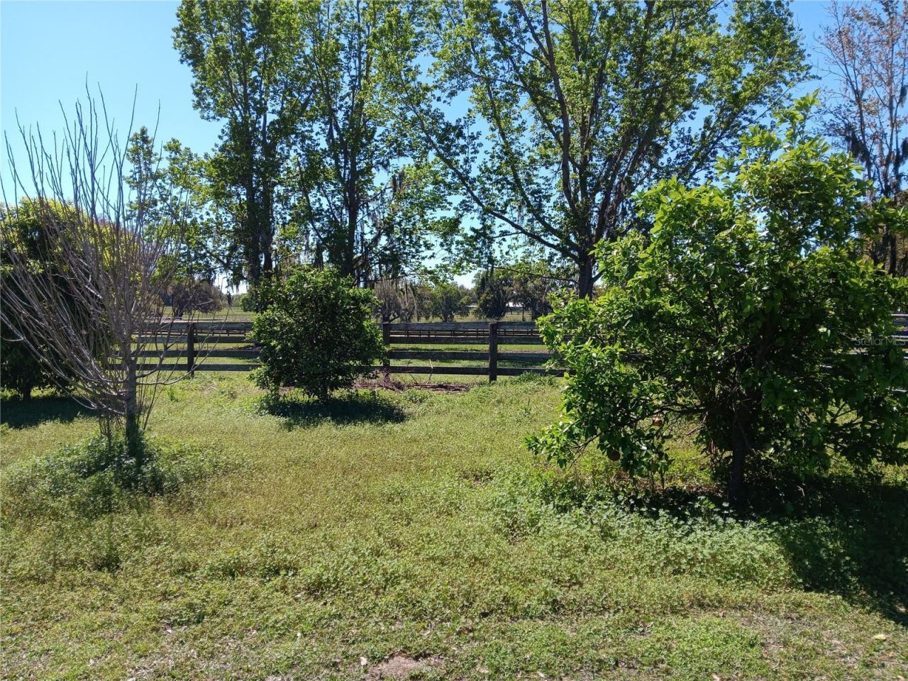 2630 NW 140th Street, Citra, FL 32113 Photo