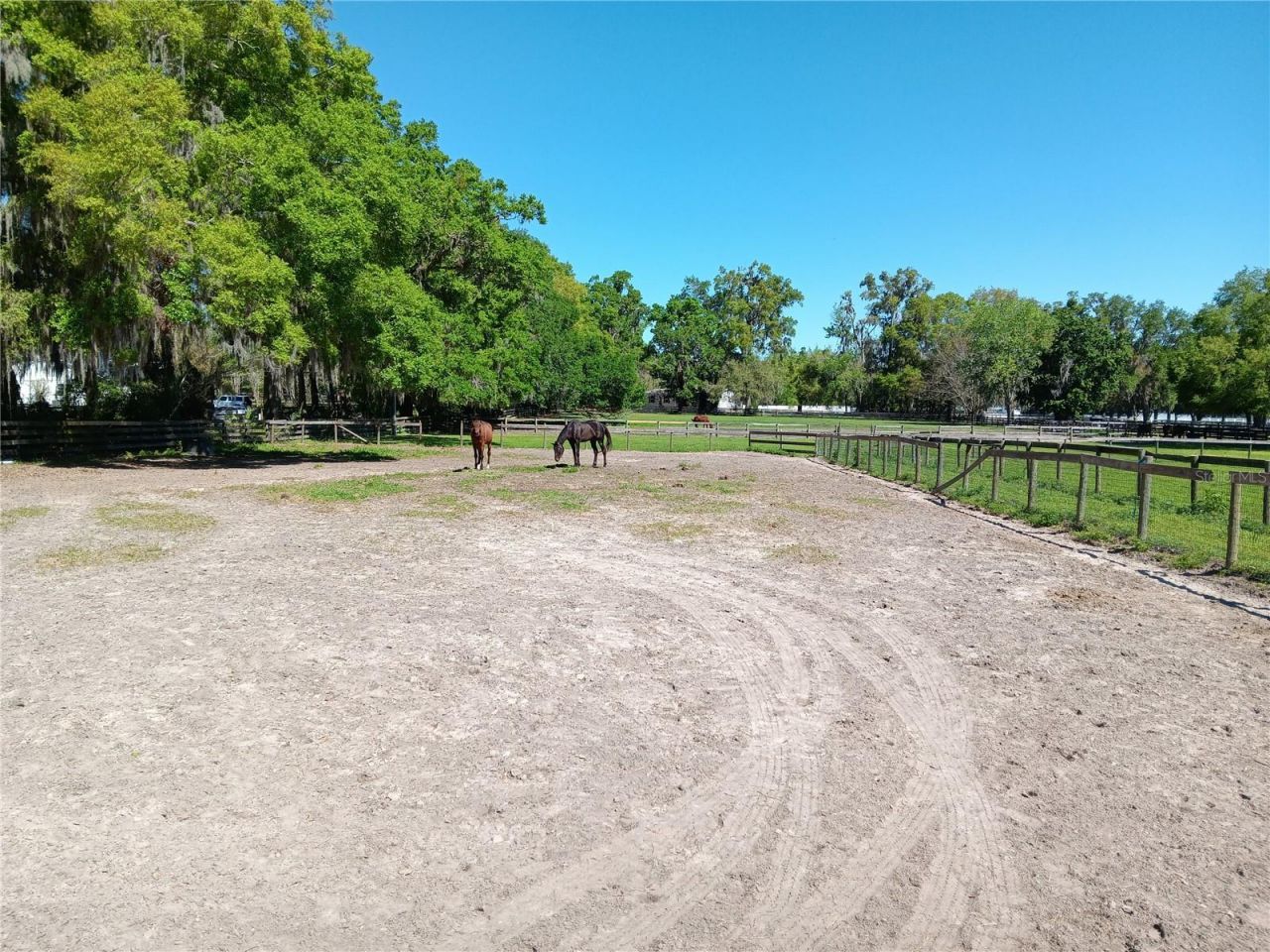 2630 NW 140th Street, Citra, FL 32113 Photo