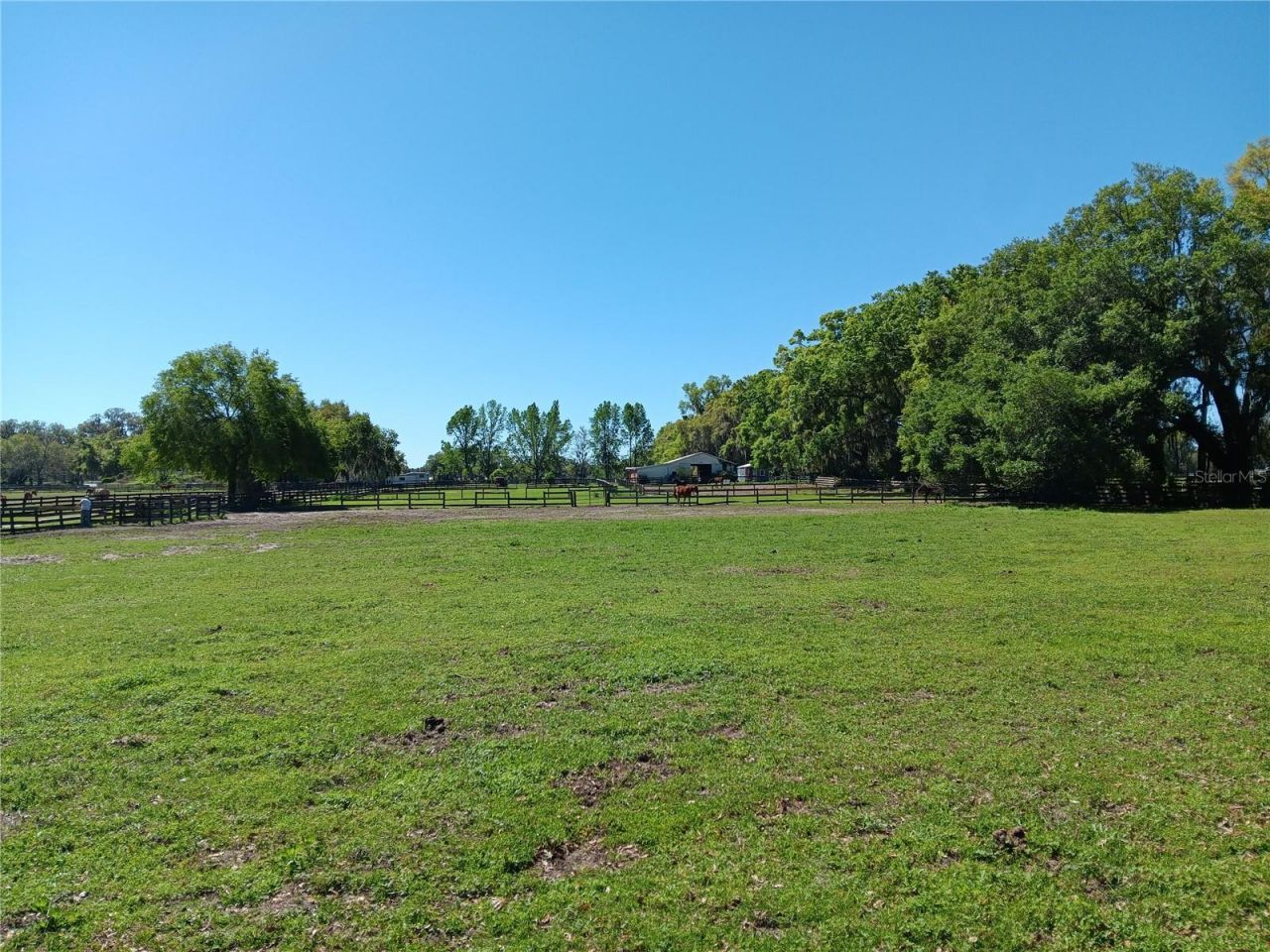 2630 NW 140th Street, Citra, FL 32113 Photo