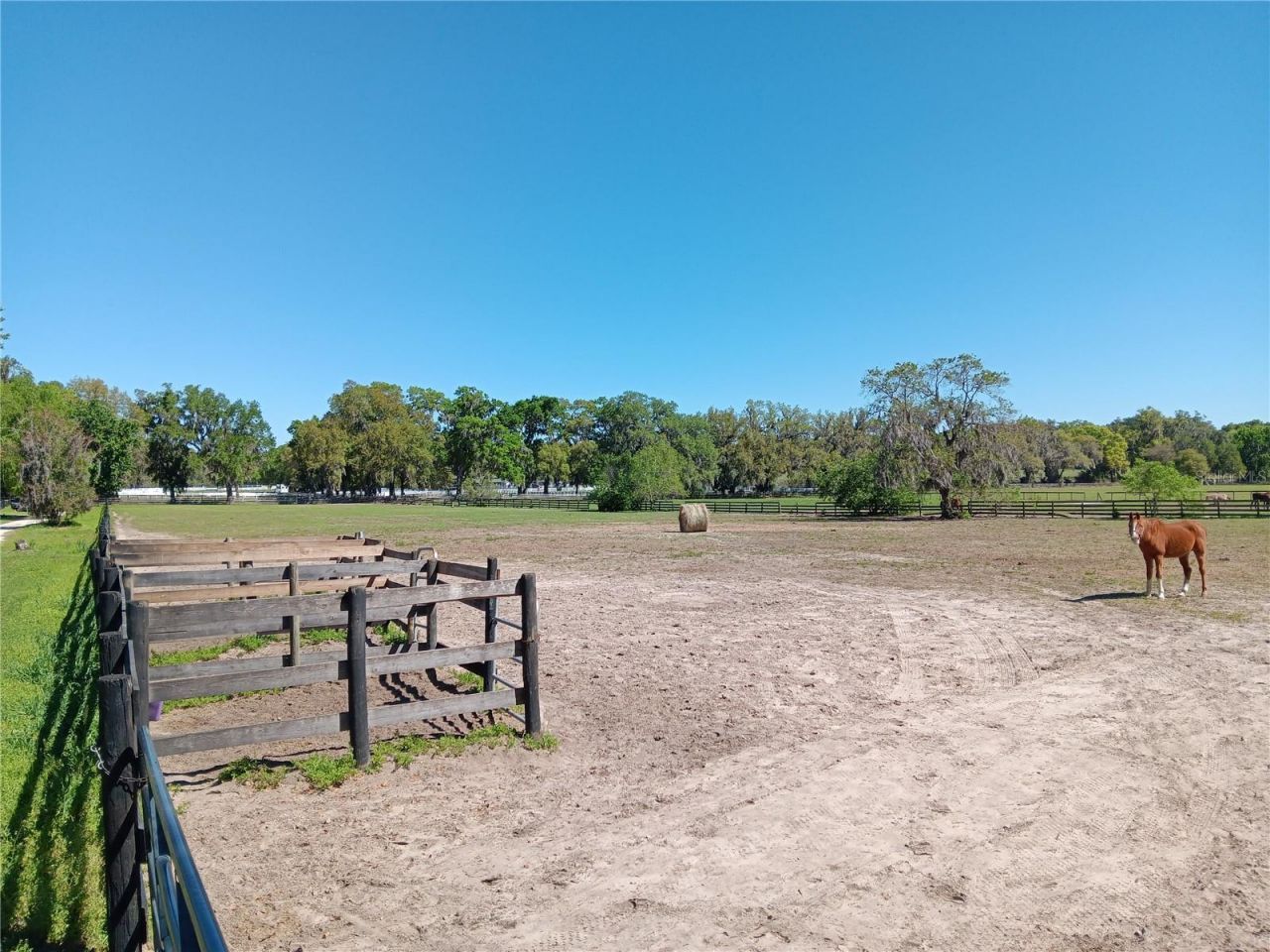2630 NW 140th Street, Citra, FL 32113 Photo