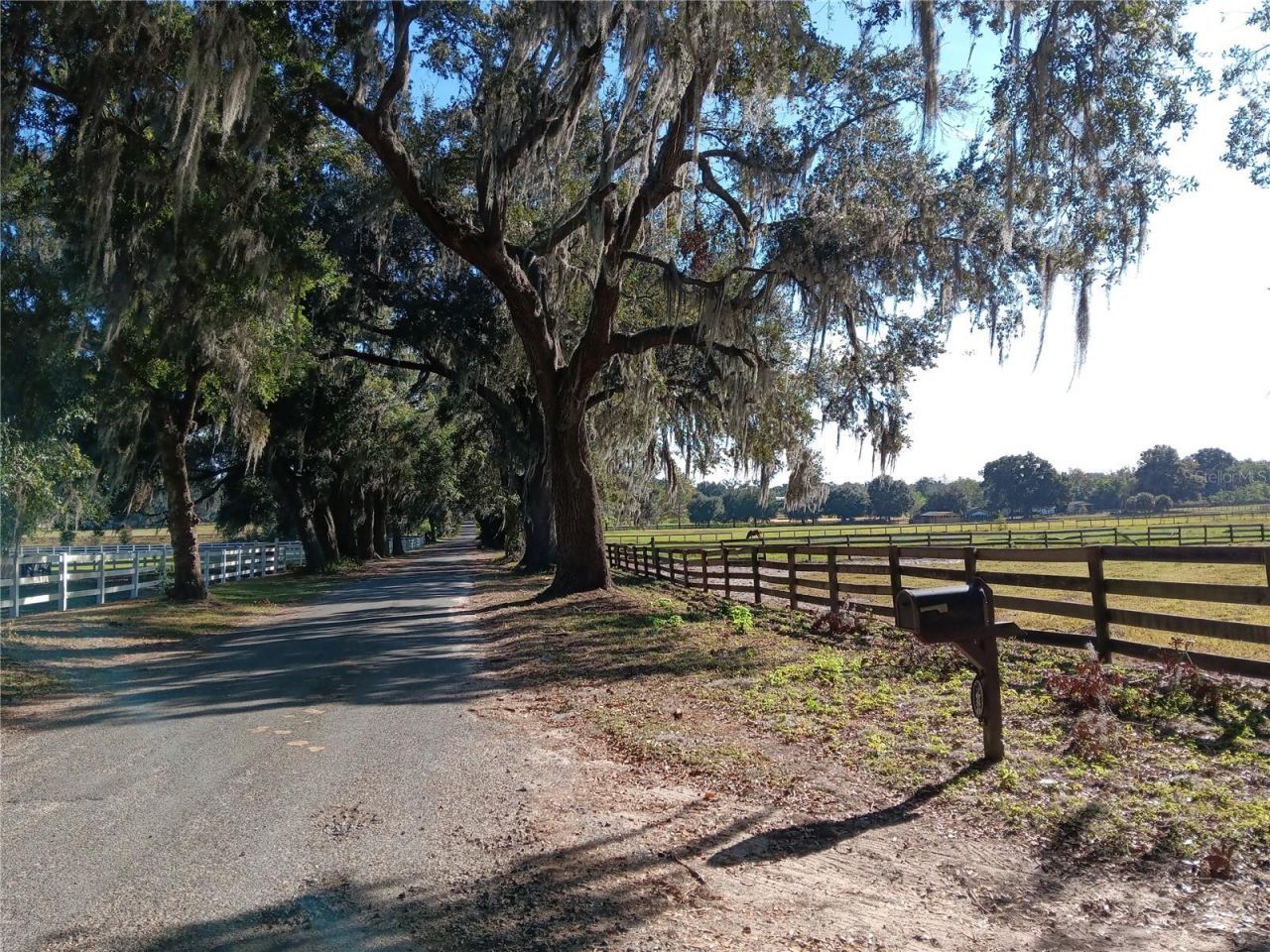 2630 NW 140th Street, Citra, FL 32113 Photo