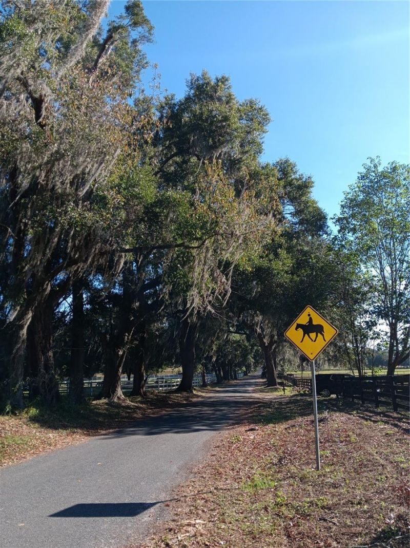 2630 NW 140th Street, Citra, FL 32113 Photo