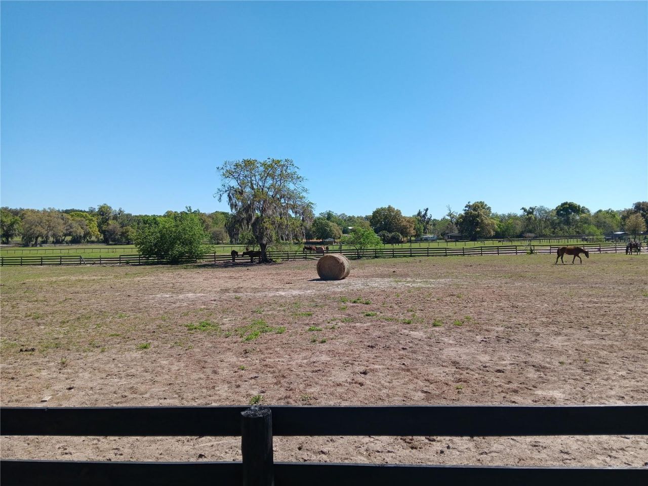2630 NW 140th Street, Citra, FL 32113 Photo